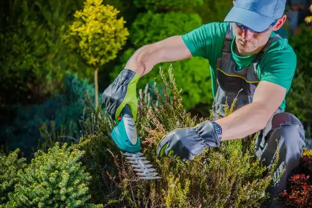 landscaping services Greenport West